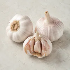 Garlic