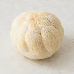 Lion's Mane Mushroom