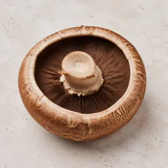 Portobello Mushroom