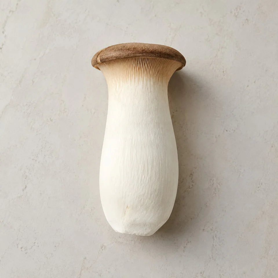 King Oyster Mushroom