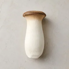 King Oyster Mushroom