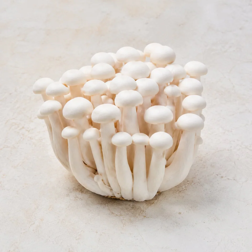 Beech Mushroom