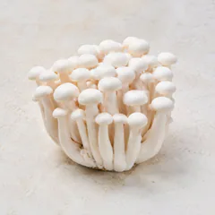 Beech Mushroom