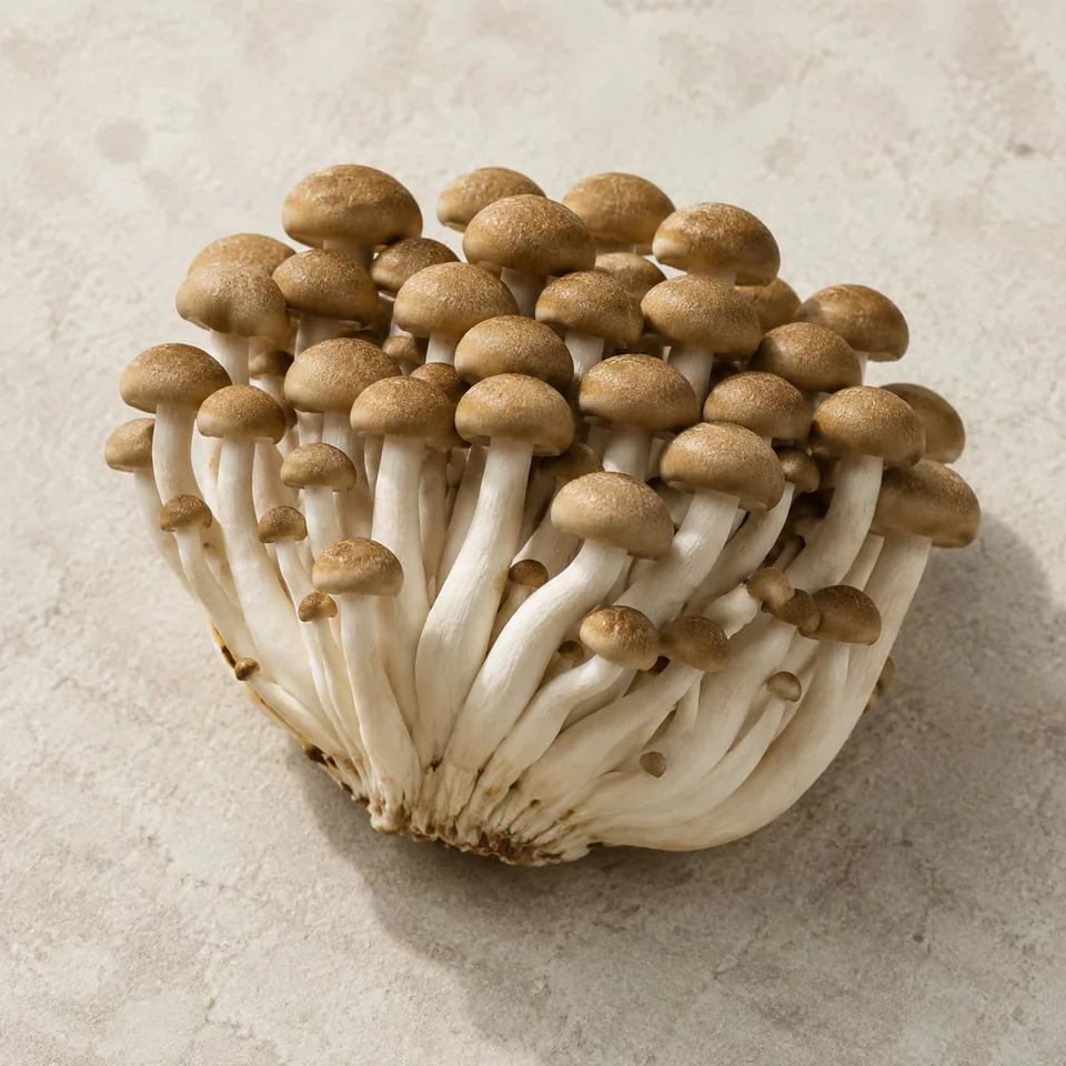 Pioppini Mushroom