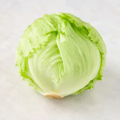 Iceberg Lettuce