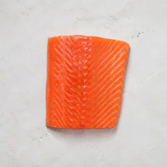Salmon