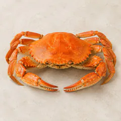 Crab Meat (pasteurized)