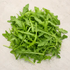 Arugula