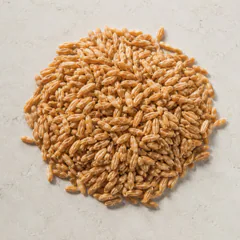 Einkorn