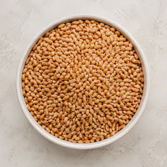 Farro