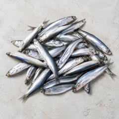 Anchovies (canned in oil)