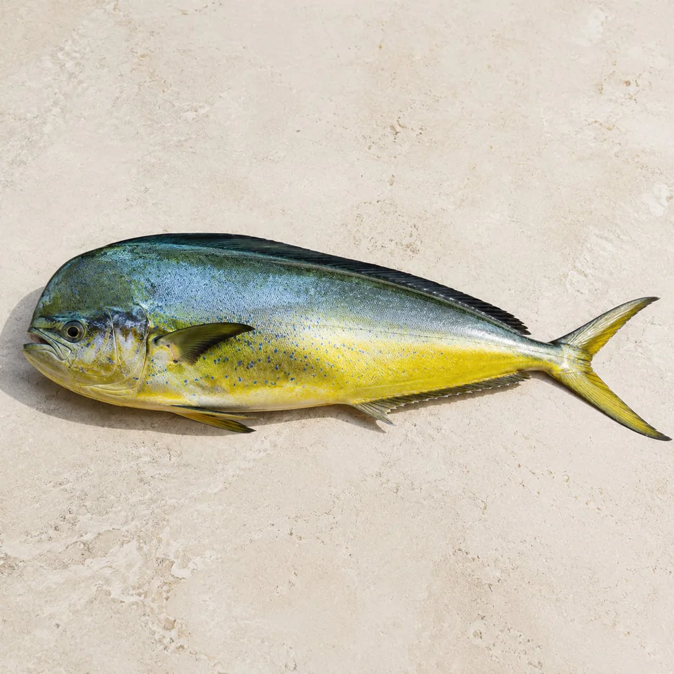 Mahi Mahi