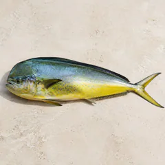 Mahi Mahi