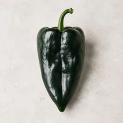 Poblano Pepper
