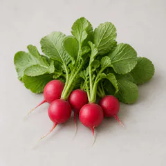 Radishes