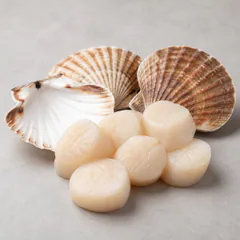 Scallops