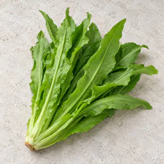Youmai Lettuce