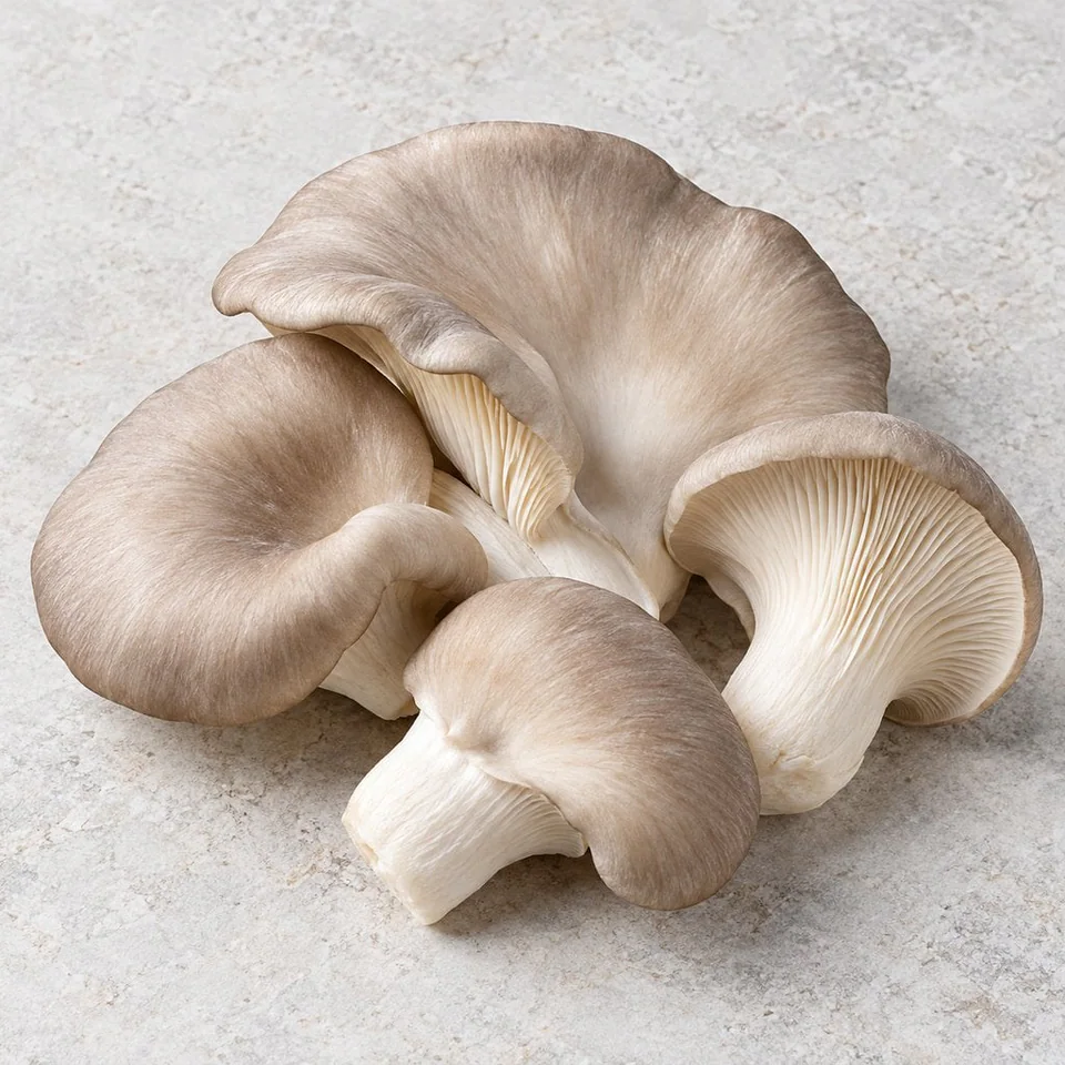 Oyster Mushrooms